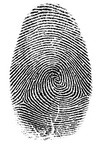 fingerprint